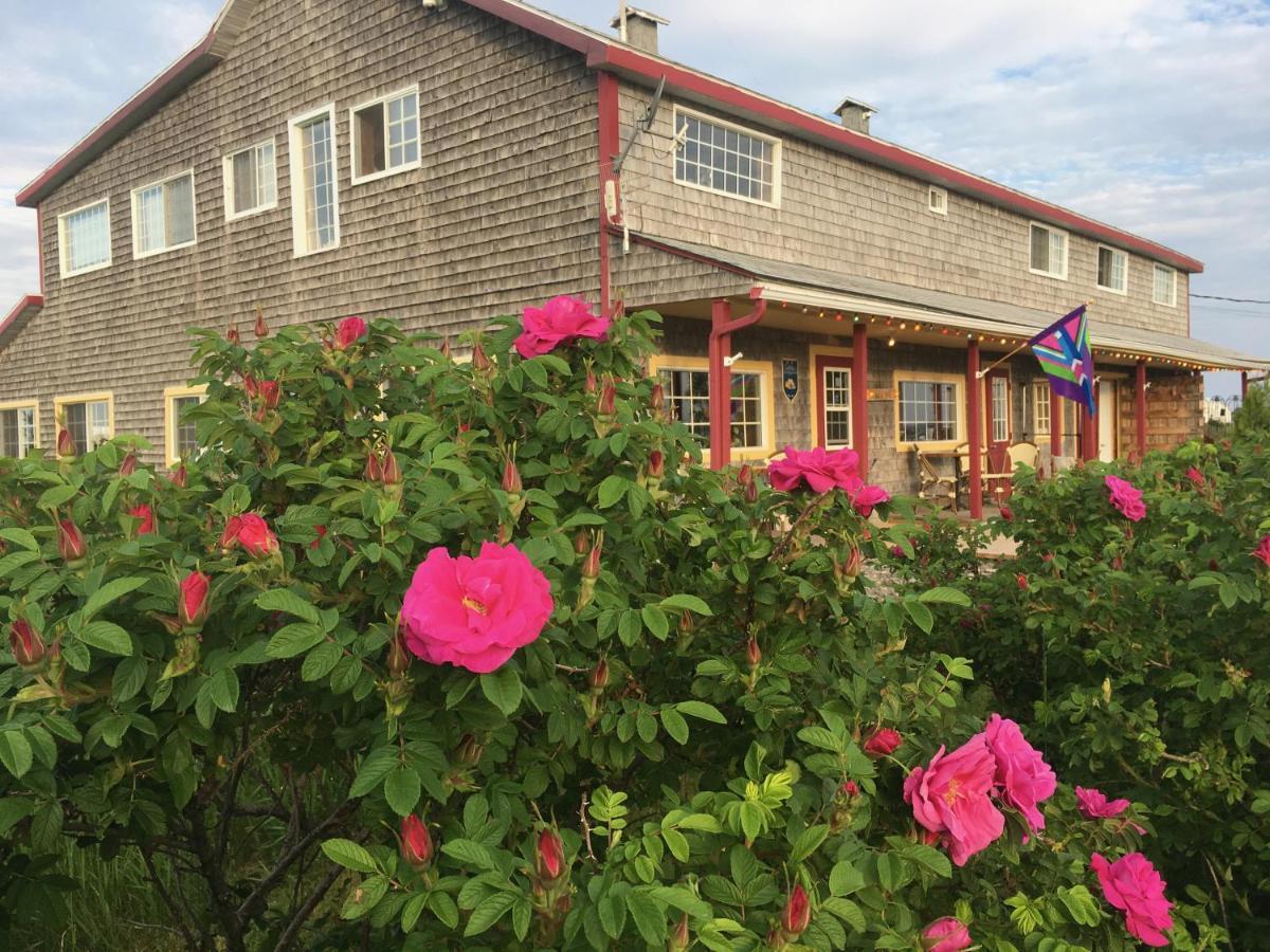 Auberge Cafe Acadien ボナヴァンチュール エクステリア 写真
